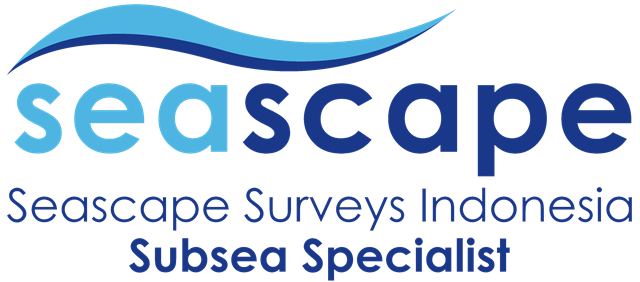 branding logo